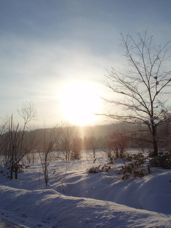 Pension Gooseberry Фурано Екстер'єр фото